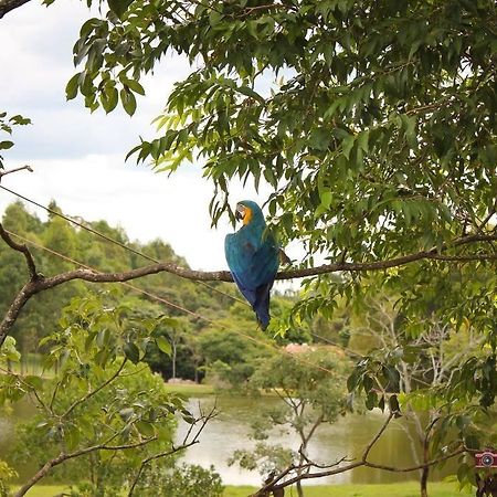 Pousada Fazenda Buracao Mococa Eksteriør bilde